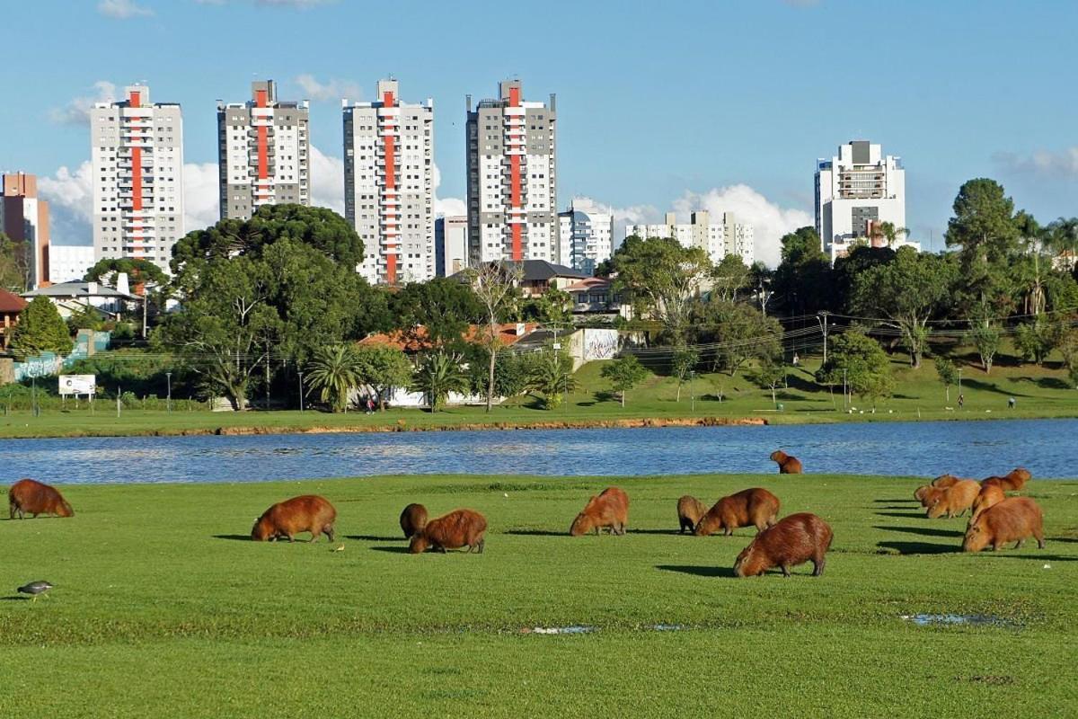 Predio Fantastico No Bairro Requisitado De * Curitiba